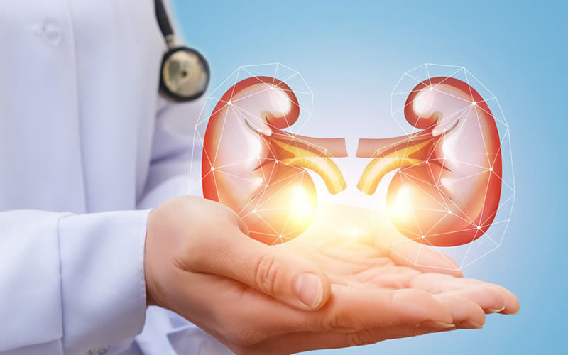 HTML5 Bootstrap Template by colorlib.com